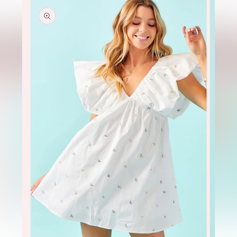 day + moon Floral Embroidery White Ruffle Sleeve Babydoll dress sz small